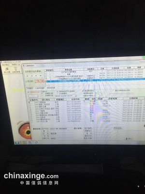 江蘇翔盛公棚:預賽集鴿現場(圖片) - 江蘇翔盛賽鴿中心 - 中國信鴿信息網公棚信息www.chinaxinge.com