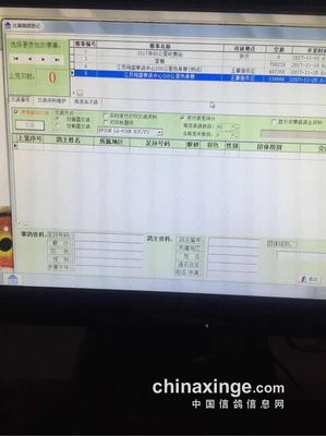 江蘇翔盛公棚:熱身賽集鴿現場(圖片) - 江蘇翔盛賽鴿中心 - 中國信鴿信息網公棚信息www.chinaxinge.com