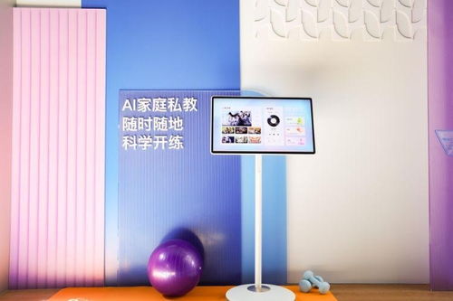 2024年國內智能家居行業回顧 國補助力,虛驚一場