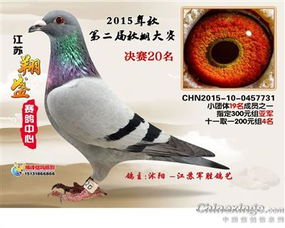 江蘇軍勝鴿藝 中信網(wǎng)銘鴿展廳 www.ag188.com