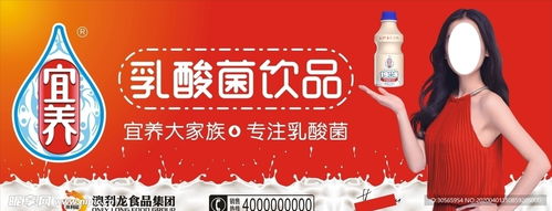 澳利龍食品宜養(yǎng)設(shè)計(jì)圖 室外廣告設(shè)計(jì)