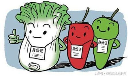 追溯 農產品追溯系統保障你的權益