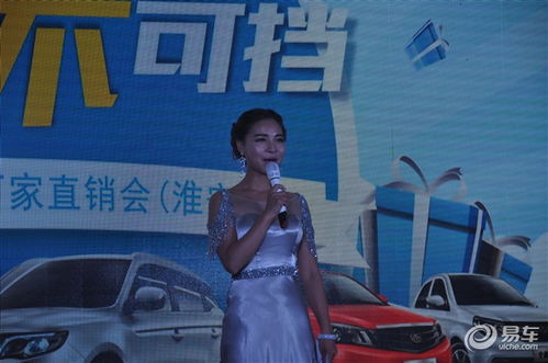 2016年吉利廠家直銷會 淮安站