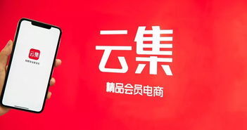 云集q3財報 一場圍繞會員 選品與效率的勝利